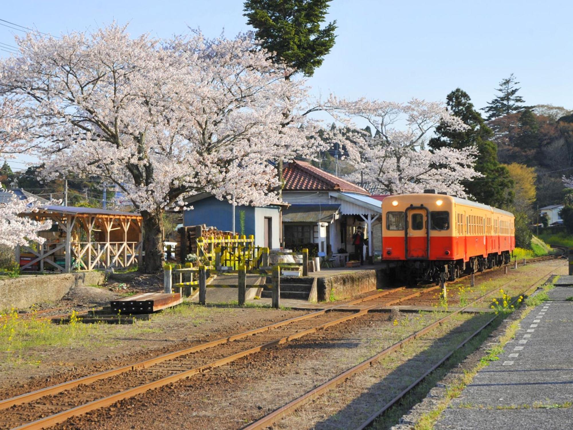 Ichihara Marine Hotel Luaran gambar